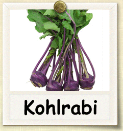 Organic Kohlrabi Seed | Seeds of Life