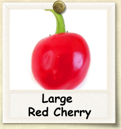 How to Grow Large Red Cherry Pepper | Guide to Growing Large Red Cherry Peppers