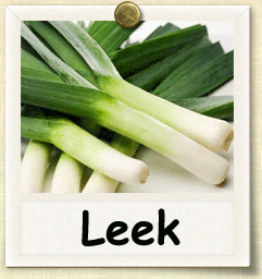 How to Grow Leek | Guide to Growing Leek