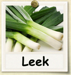 Organic Leek Seed | Seeds of Life