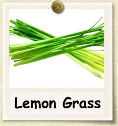 How to Grow Lemon Grass | Guide to Growing Lemon Grass