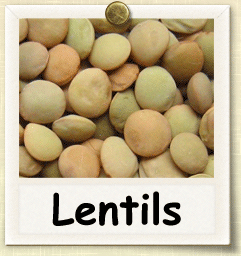 Heirloom Lentil Seed - Seeds of Life