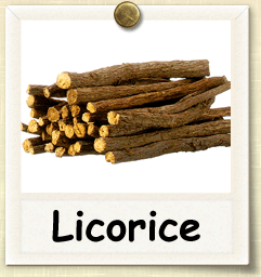 How to Grow Licorice | Guide to Growing Licorice