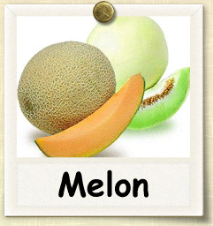 Organic Melon Seed | Seeds of Life