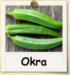 Heirloom Okra Seed - Seeds of Life