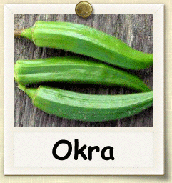 Organic Okra Seed | Seeds of Life