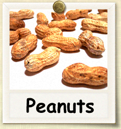 Organic Peanut Seed | Seeds of Life