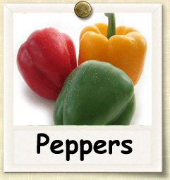 Organic Pepper Seed | Seeds of Life