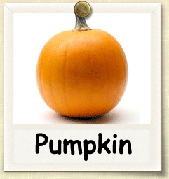 How to Grow Pumpkin | Guide to Growing Pumpkin