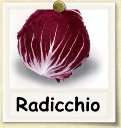 Organic Radicchio Seed - Seed of Life