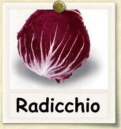 Organic Radicchio Seed - Seed of Life Organic Radicchio Seed - Seed of Life