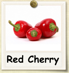 How to Grow Red Cherry Pepper | Guide to Growing Red Cherry Peppers