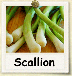 Organic Scallion Seed | Seeds of Life