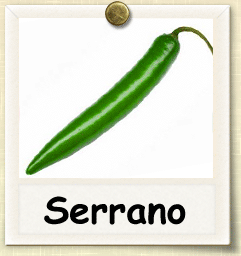 How to Grow Serrano Pepper | Guide to Growing Serrano Peppers