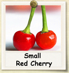 How to Grow Small Red Cherry Pepper | Guide to Growing Small Red Cherry Peppers