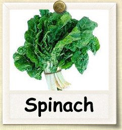 How to Grow Spinach | Guide to Growing Spinach