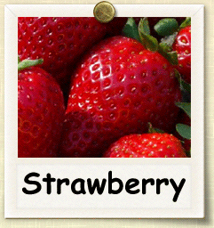 Organic Strawberry Seed | Seeds of Life