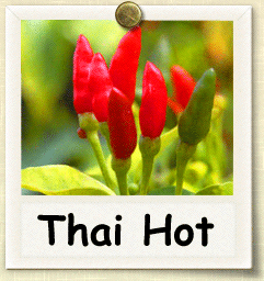 رعاية نباتات الفلفل التايلاندية