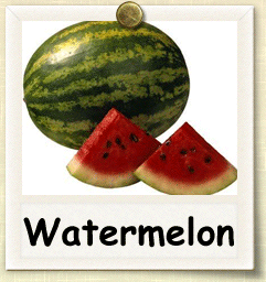 Heirloom Watermelon Seed - Seeds of Life