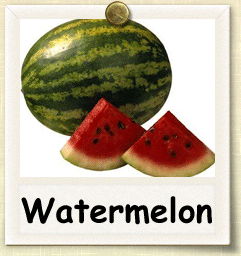 Organic Watermelon Seed | Seeds of Life