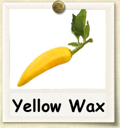 How to Grow Yellow Wax Pepper | Guide to Growing Yellow Wax Peppers