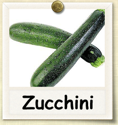 Organic Zucchini Seed | Seeds of Life