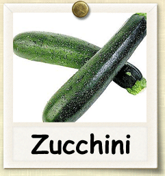 Organic Zucchini Seed | Seeds of Life Organic Zucchini Seed | Seeds of Life