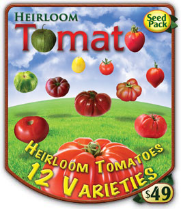 Heirloom Tomatoes