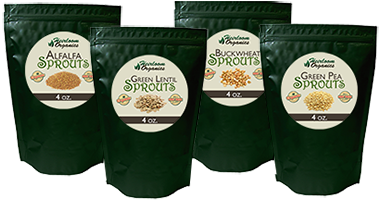 Independence Sprouts