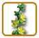 How to Grow Agrimony | Guide to Growing Agrimony