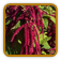 Heirloom Amaranth Seed | Seeds of Life