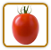 How to Grow Amish Paste Tomato | Guide to Growing Amish Paste Tomatoes