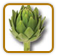 How to Grow Artichoke | Guide to Growing Artichoke