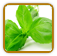 Guide to Growing Basil