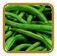 Organic Bean Seed | Seeds of Life