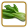 Organic Bok Choy Seed | Seeds of Life