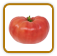 How to Grow Brandywine Tomato | Guide to Growing Brandywine Tomatoes How to Grow Brandywine Tomato | Guide to Growing Brandywine Tomatoes