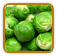 Guide to Growing Brussels Sprout