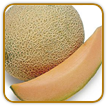 Organic Cantaloupe Seed | Seeds of Life