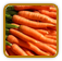 Organic Carrot Seed | Seeds of Life