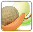 Organic Melon Seed | Seeds of Life