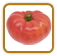 How to Grow Ponderosa Tomato | Guide to Growing Ponderosa Tomatoes How to Grow Ponderosa Tomato | Guide to Growing Ponderosa Tomatoes