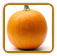 Heirloom Pumpkin Seed | Seeds of Life