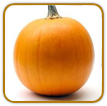 Organic Pumpkin Seed | Seeds of Life