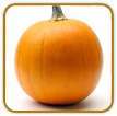 How to Grow Pumpkin | Guide to Growing Pumpkin