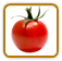 How to Grow Currant Tomato | Guide to Growing Currant Tomatoes How to Grow Currant Tomato | Guide to Growing Currant Tomatoes