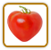 How to Grow Strawberry Tomato | Guide to Growing Strawberry Tomatoes How to Grow Strawberry Tomato | Guide to Growing Strawberry Tomatoes
