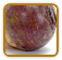 Heirloom Rutabaga Seed | Seeds of Life