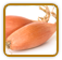 Heirloom Shallot Seed | Seeds of Life