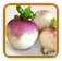 Guide to Growing Turnips